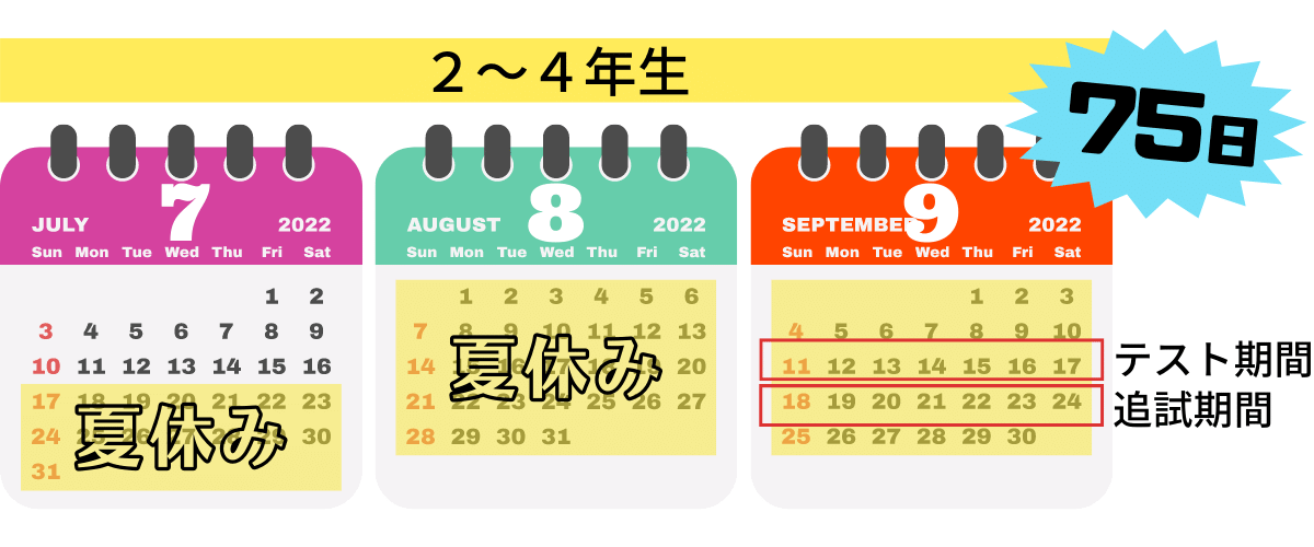 医学部　２〜４年生の夏休み
