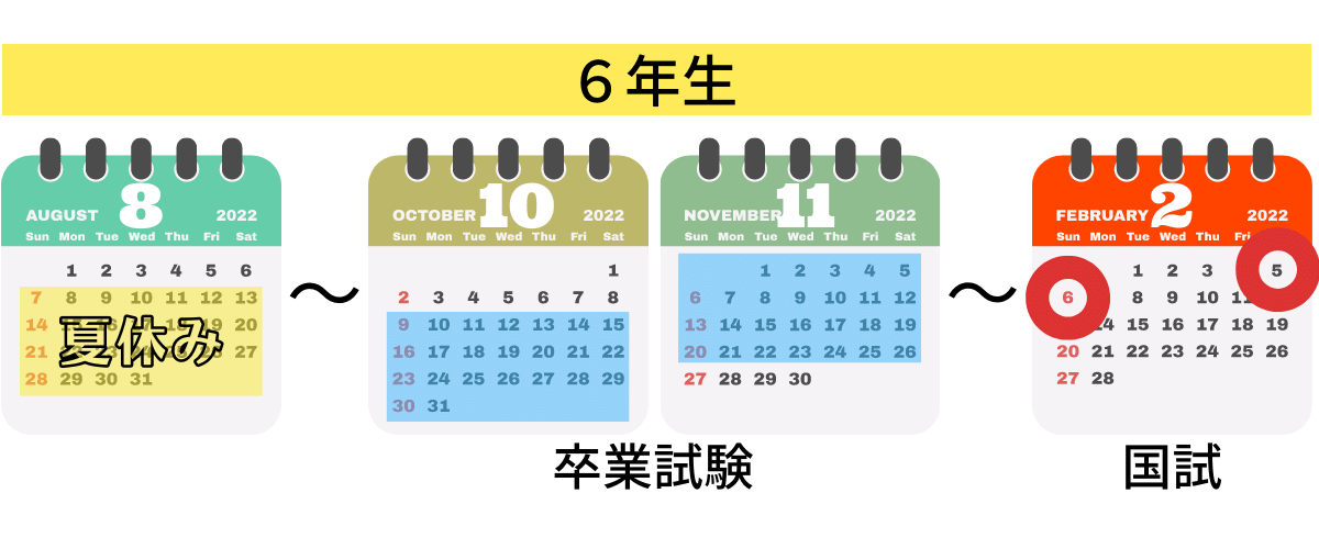 医学部　６年生の夏休み