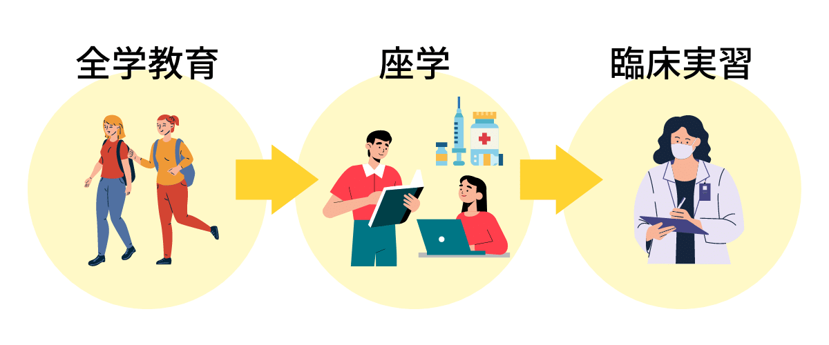 医学部は全学教育→座学→臨床実習と学んでいく
